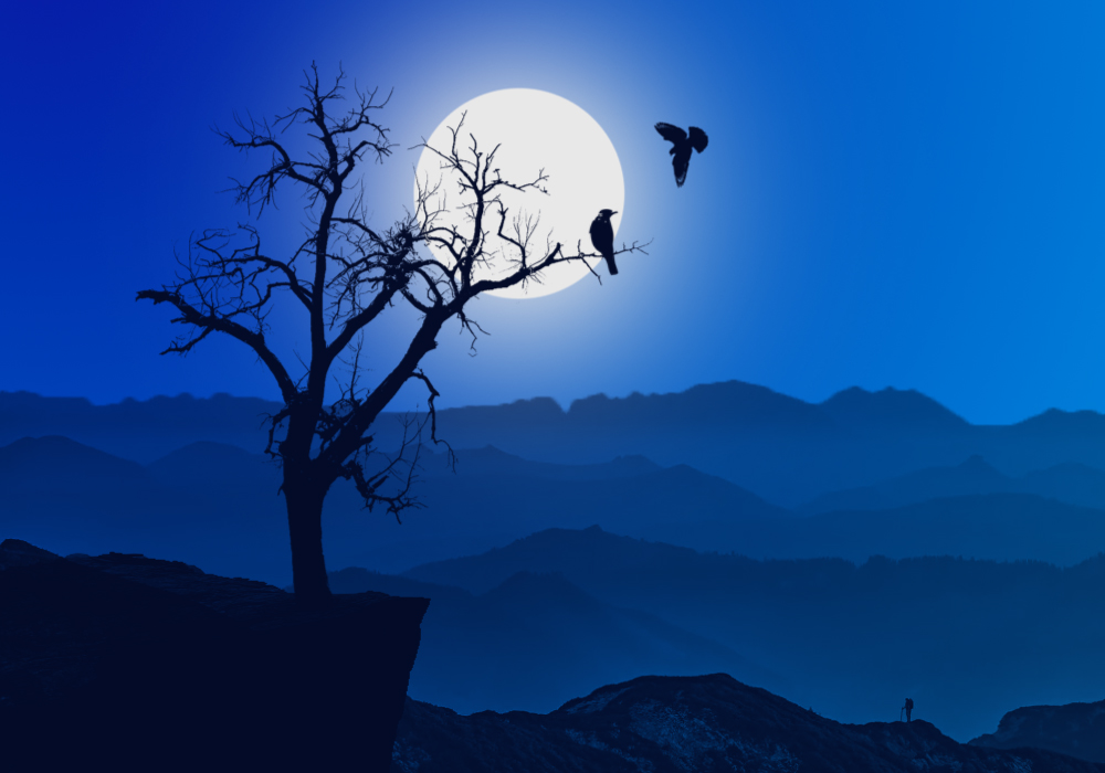 Landscape Art 1